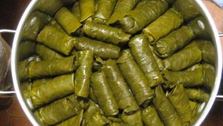 Dolmas (Stuffed Grape Leaves)