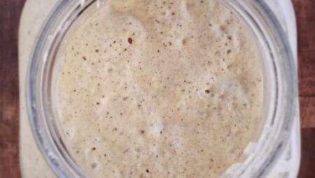 Gluten-Free Sourdough Starter