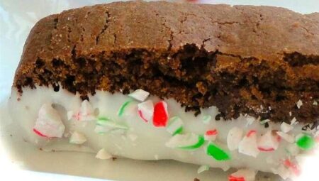 Shorecook’s Chocolate Peppermint Biscotti